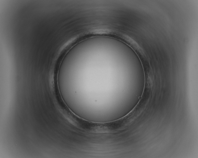 X0000111130535200907071019