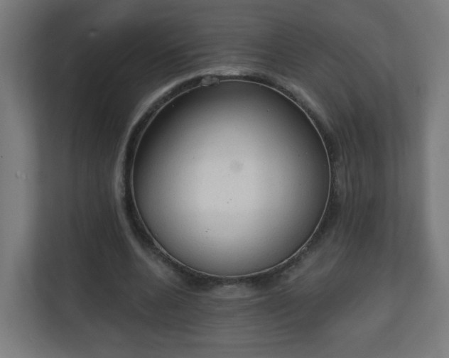 X0000111130536200907071019