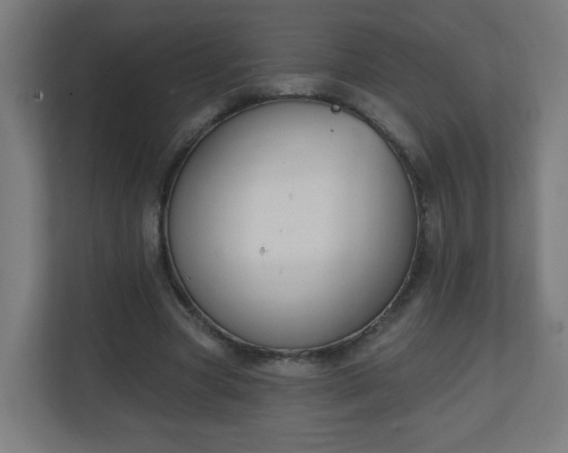 X0000111130537200907071019