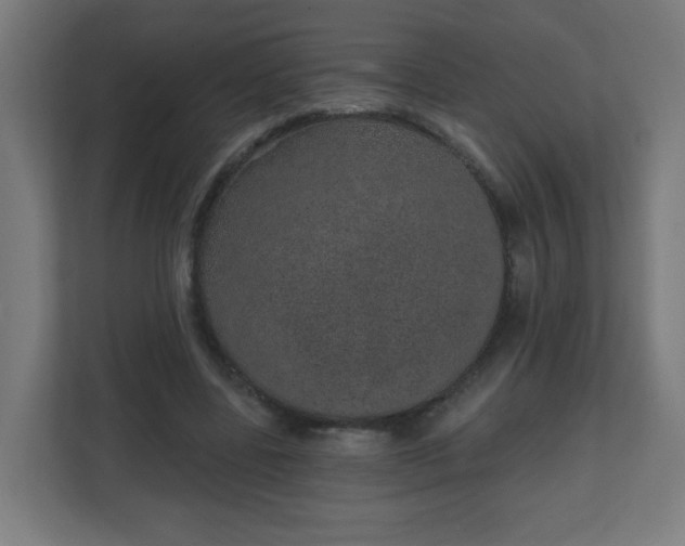 X0000111130539200907071019