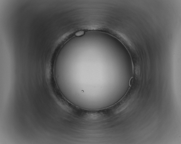 X0000111130540200907071019