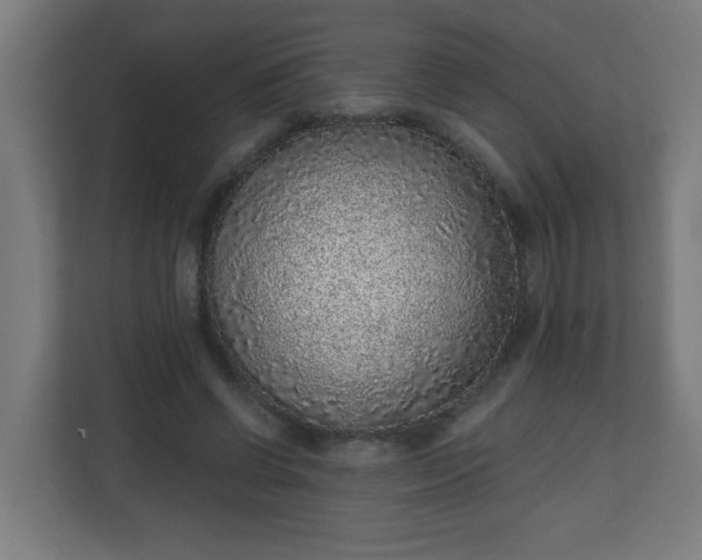 X0000111130542200907071020