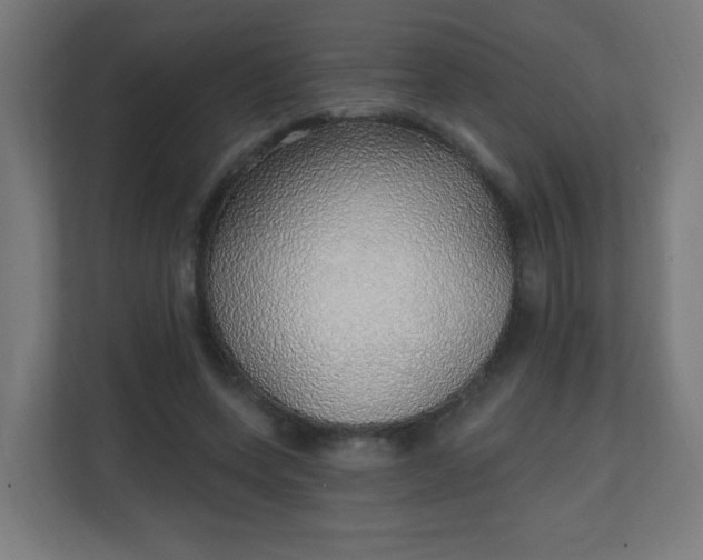 X0000111130543200907071020