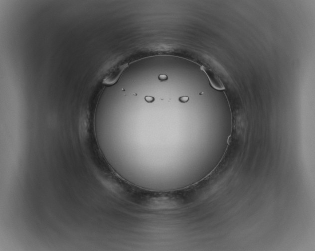 X0000111130544200907071020
