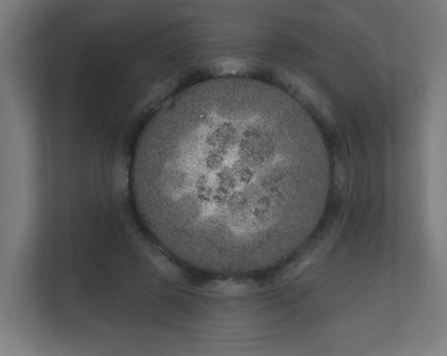 X0000111130545200907071020