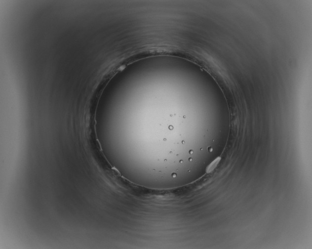 X0000111130548200907071020