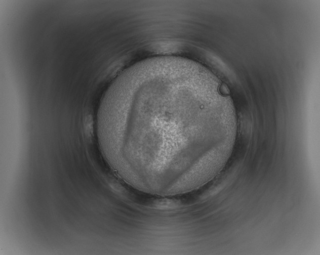 X0000111130549200907071020