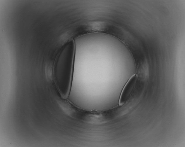 X0000111130552200907071020