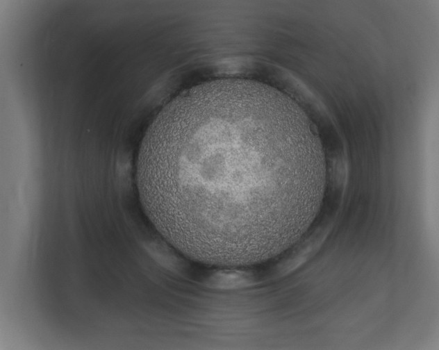 X0000111130557200907071020