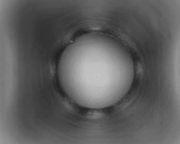 X0000111130559200907071020