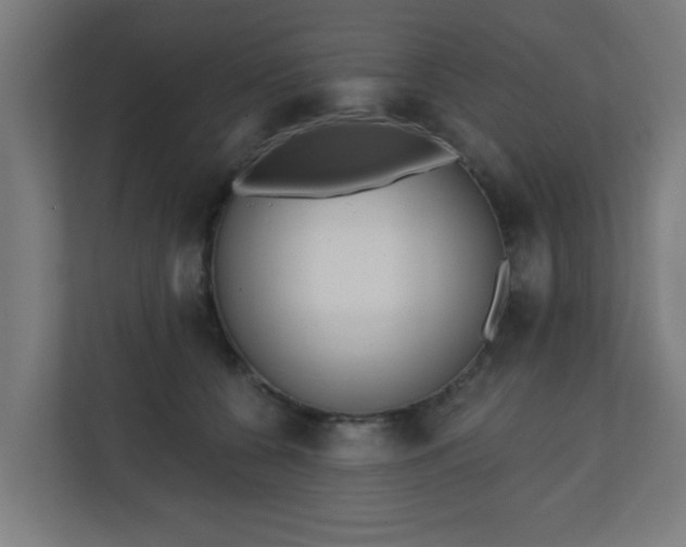 X0000111130560200907071020