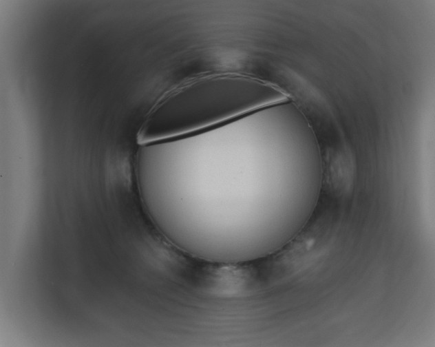 X0000111130562200907071020
