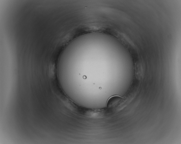 X0000111130563200907071020