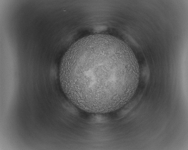 X0000111130565200907071020