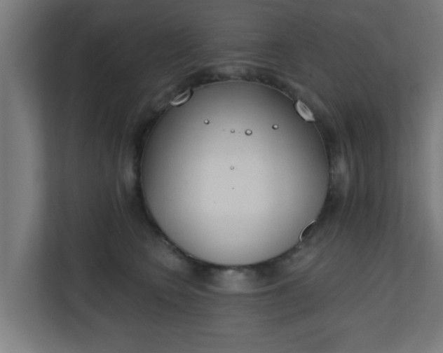 X0000111130566200907071020