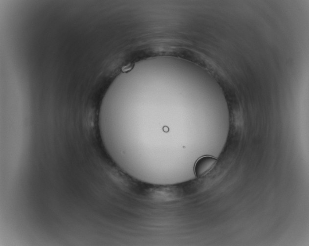 X0000111130567200907071020
