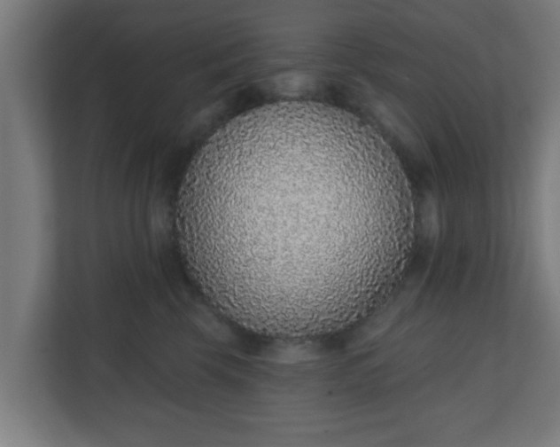 X0000111130569200907071020