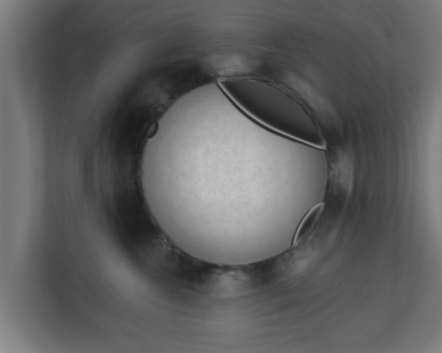 X0000111130572200907071020