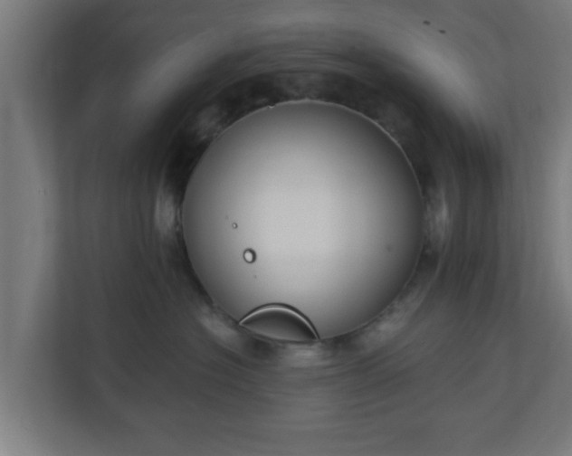 X0000111130574200907071020