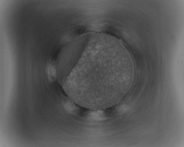 X0000111130576200907071020
