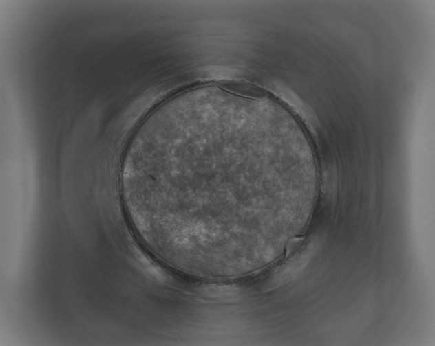 X0000111130577200907071019