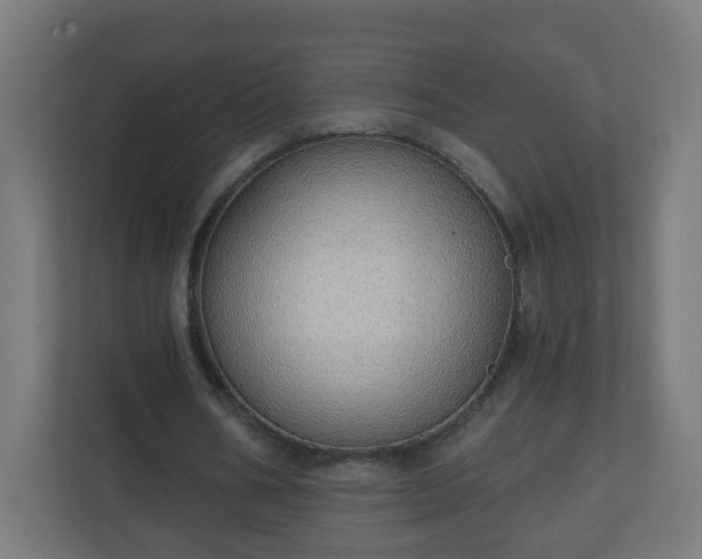 X0000111130578200907071019