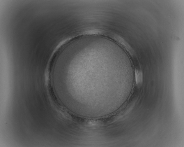 X0000111130579200907071019