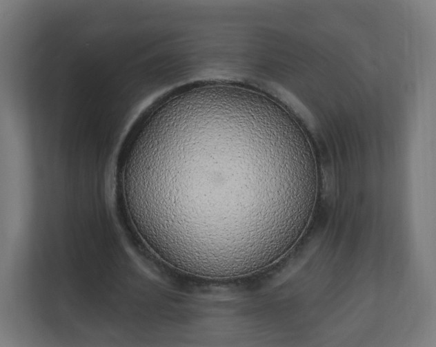 X0000111130580200907071019