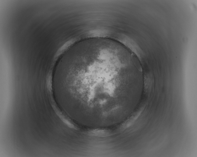 X0000111130581200907071019