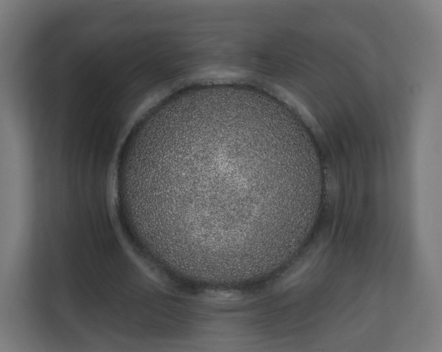 X0000111130582200907071019