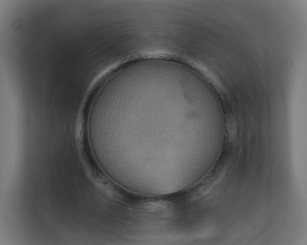 X0000111130583200907071019