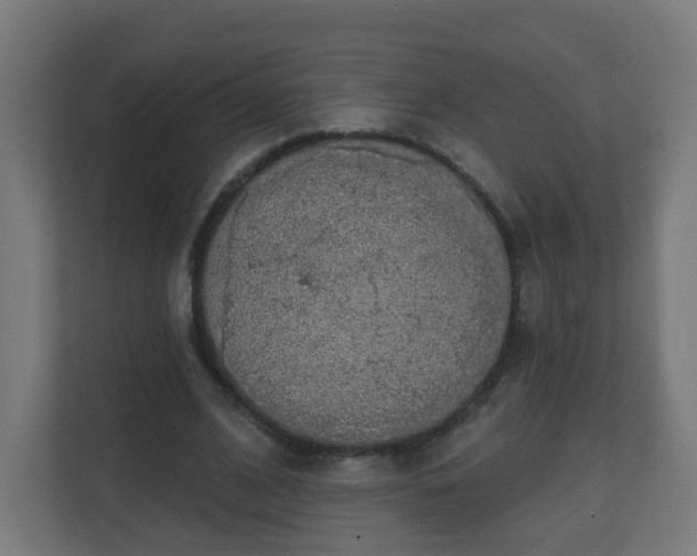X0000111130584200907071019
