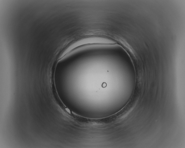 X0000111130585200907071019