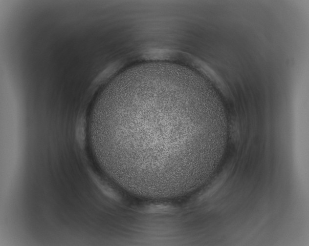 X0000111130586200907071019
