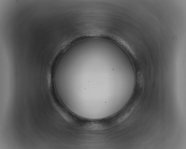 X0000111130589200907071019