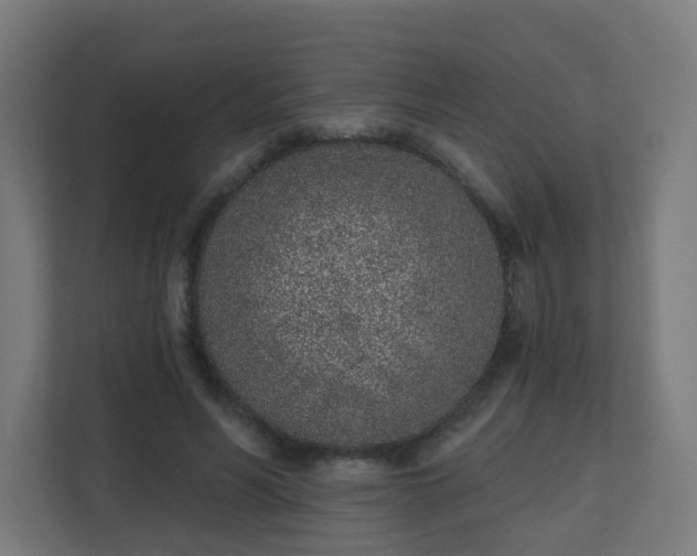 X0000111130590200907071019