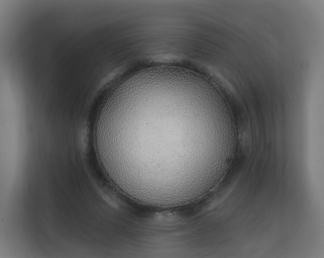 X0000111130591200907071019