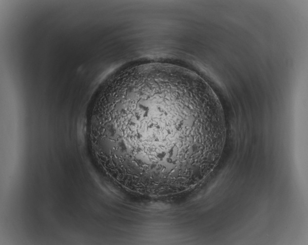 X0000111130592200907071019