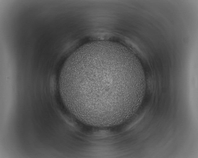 X0000111130594200907071019