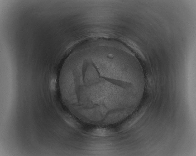 X0000111130596200907071019