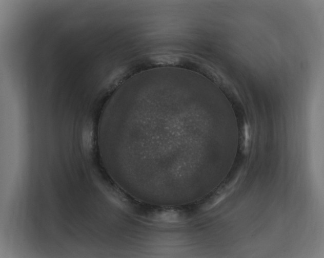 X0000111130600200907071019