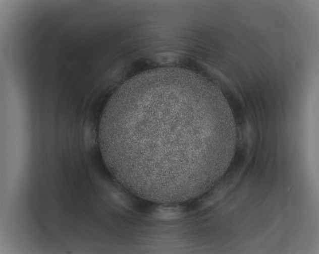 X0000111130606200907071019