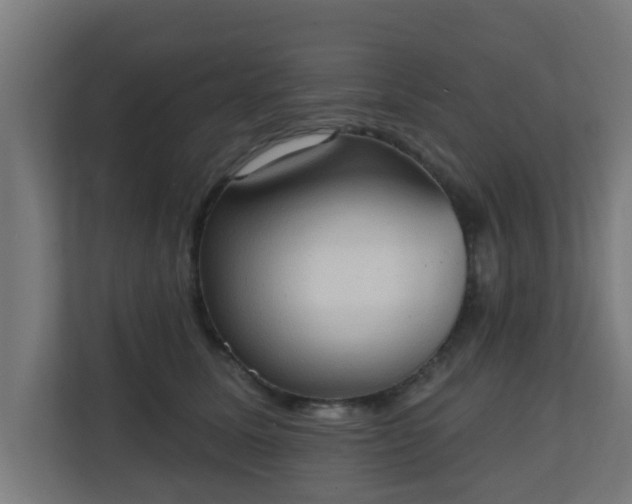 X0000111130611200907071019