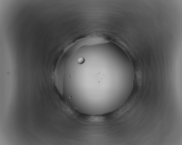 X0000111130617200907071019