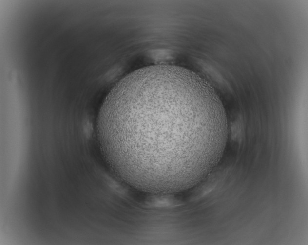 X0000111130618200907071019