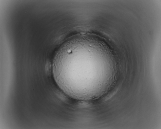 X0000111130624200907071019