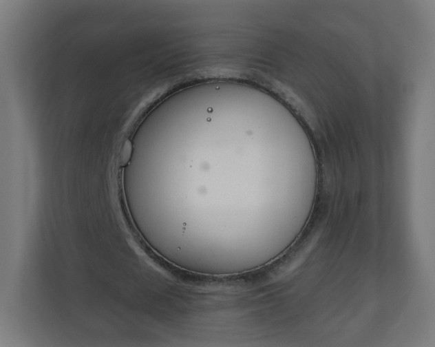 X0000111130625200907071018