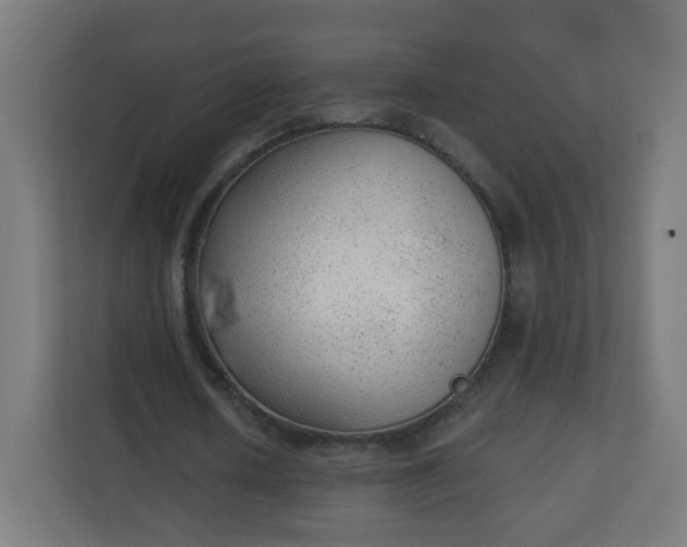 X0000111130626200907071018