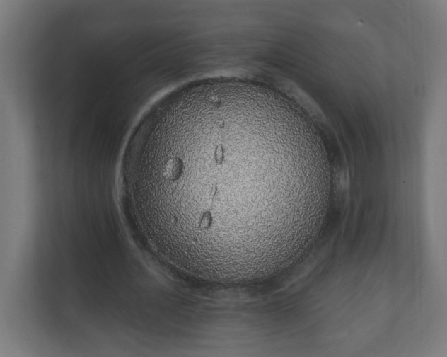X0000111130628200907071018