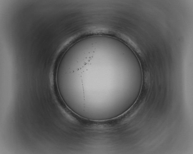 X0000111130629200907071018